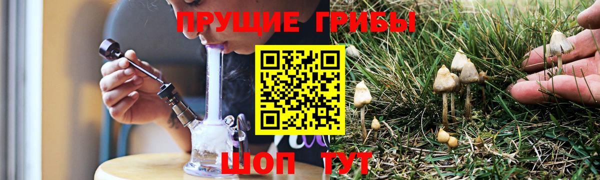 Псилоцибиновые грибы Psilocybe  Вход с VPN  Миасс  Псилоцибиновые грибы мицелий 